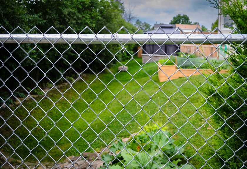 Galvanized chain link fence with a back yard and garden beds behind it