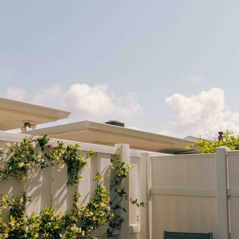 Cream-colored vinyl privacy fence with a flowering vine climbing it below a roofline