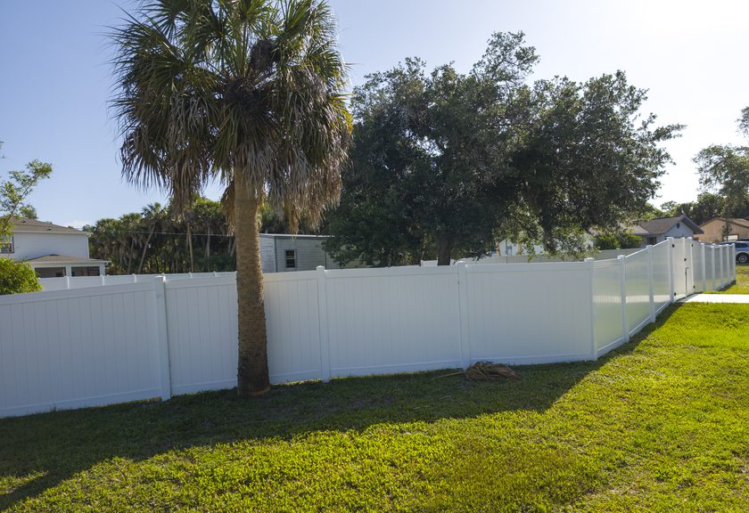 Long white vinyl privacy fence across a sunny lawn with a palm tree in front